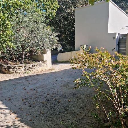 Nouveaute Studio Sur Les Hauteurs. Robion en Luberon Exterior foto